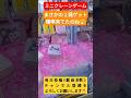 【ミニクレーンゲーム】まさかの1発ゲット♪【クロミちゃん】#クレーンゲーム#UFOキャッチャー#ミニクレーンゲーム#クロミちゃん#サンリオ