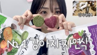디톡스 클렌즈 ! 🐶 12가지 야채 과일 들어간 강아지동결건조사료! 노견 , 알러지 간식추천🐾🦴 발사탕 이제 그만! (ft.알로키친)