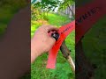 Shredding Tall Grass in Seconds! 🏎️💨