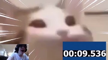 Pop Cat Speed Runs Faster Than Dream