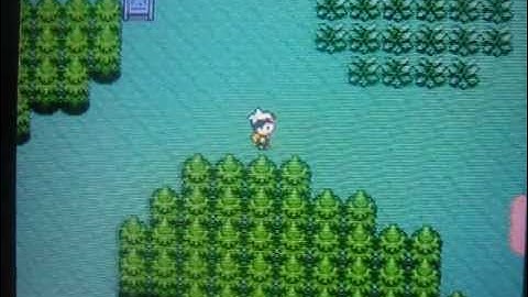 Pokemon on Petit Computer #3 UNFINISHED Update