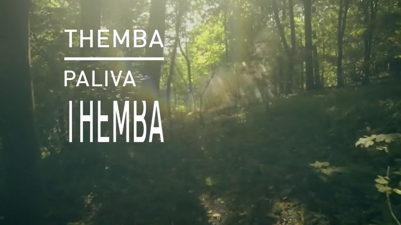 THEMBA - I Will Do Better