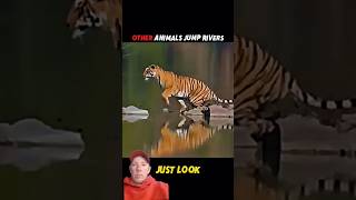 Wild Cats Take The Leap #shorts #cat #wildlife