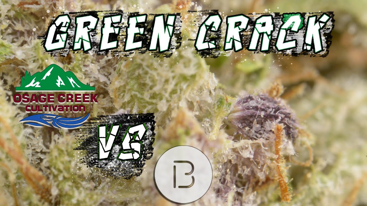Strain Battle - Green Crack - Osage Creek Vs Bold Cultivation - Arkansas Medical Marijuana