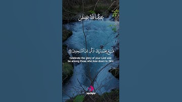سكون القلوب في الذكر والسجود – لحظة صفاء من سورة الحجر | بصوت عبد الله بصفر 🌌 #اكسبلور #دويتو