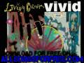 living colour - Memories Can't Wait - Vivid