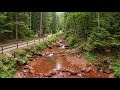 Detailed River Flow Ambience 🌊 Crisp Water Sounds for Deep Sleep