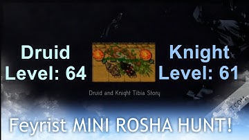 Tibia PARODY Feyrist MINI ROSHA duo hunt Knight level 61 Druid level 64