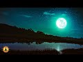 🔴 Deep Sleep Music 24/7, Sleeping Music, Insomnia, Meditation Music, Zen, Yoga, Study Music, Sleep