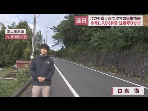 またクマの目撃情報…近くには幼稚園や中学校　住民「怖い。どうしたらいいか…」　静岡・富士市