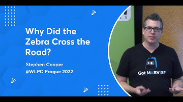 Why Did the Zebra Cross the Road? | Stephen Cooper | WLPC Prague 2022