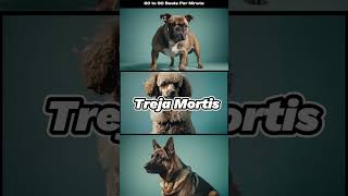Treja Mortis 🎧6090 BPM🎧 Greeting The Spirits Of The Upper World
