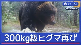 また300kg級　“メタボグマ”GWに現る【スーパーJチャンネル】(2026年5月5日)