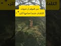 تحفيز..