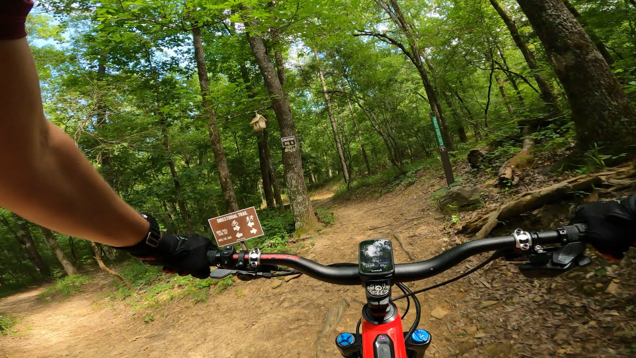 Standing Boy Trails: Primary Goods - Bimini Loop