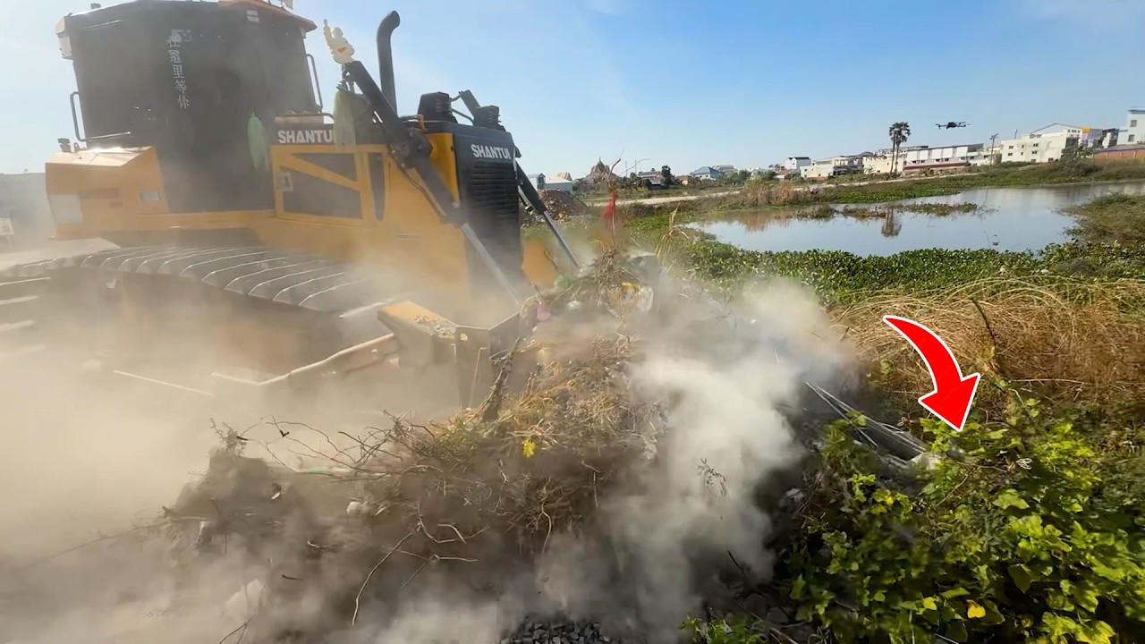 Bulldozers Dozers SHANTUI Has excellent forest clearing power.Dump Trucks Dongfang 25.5Ton