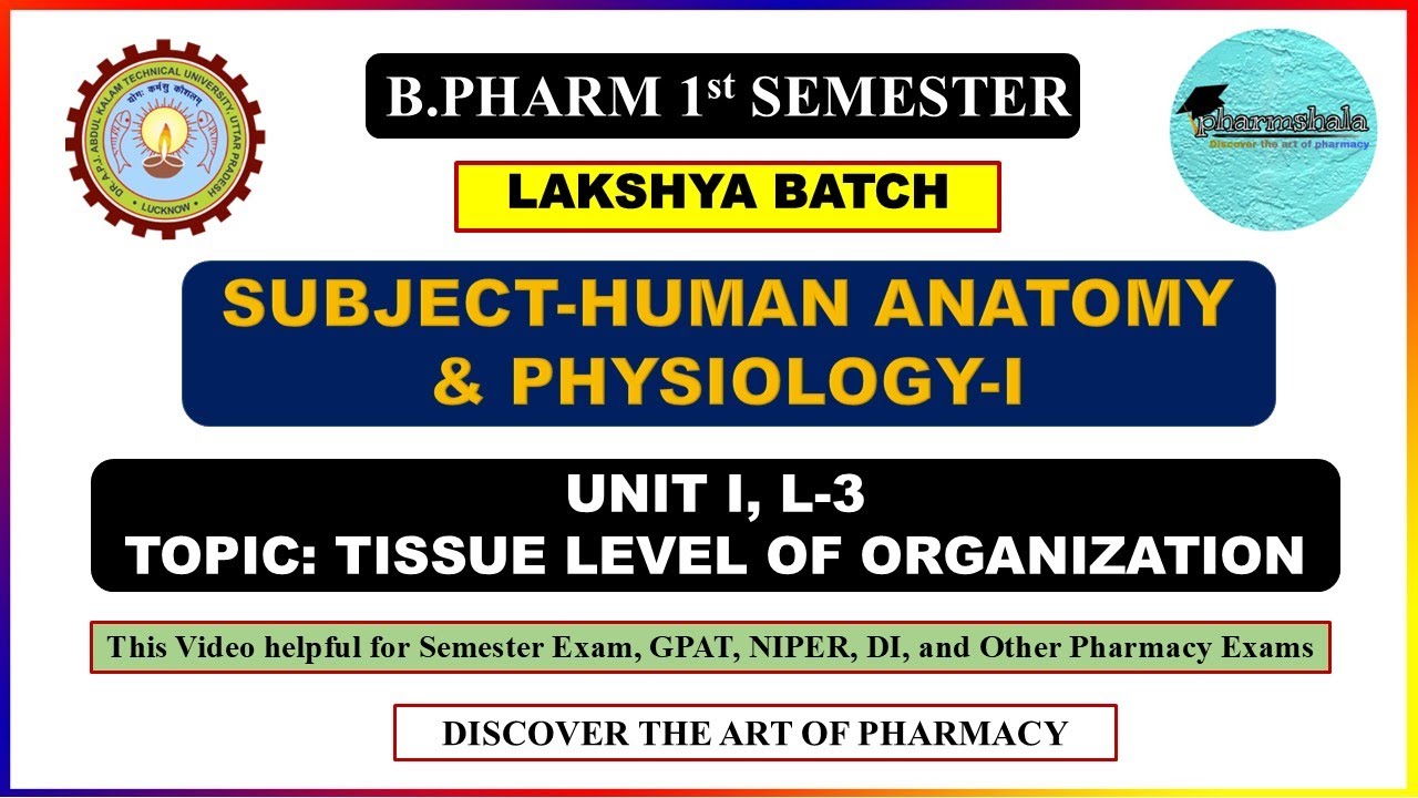 Tissue Level of Organization || Unit-I, L-3 | Human Anatomy and Physiology 1st semester b pharmacy