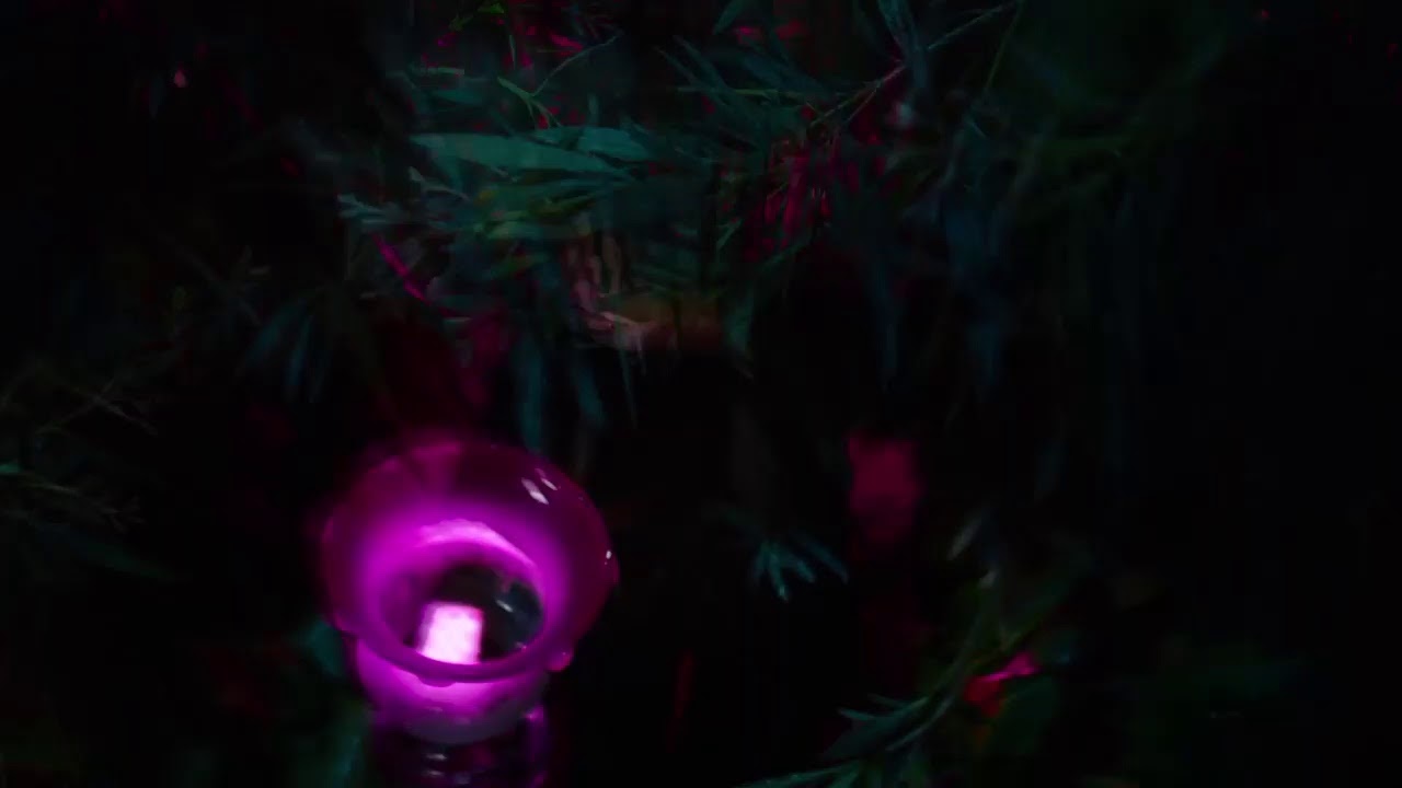 Erica - PS4 - Paperwork Trophy Guide