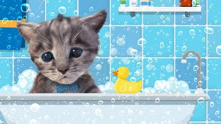 My Favorite Cat Little Kitten Adventure - Play Fun Cute Kitten Care Games For Kids Adventure  #894