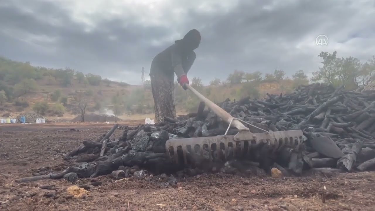Memleketlerinden kilometrelerce uzakta mangal kömürü üretiyorlar