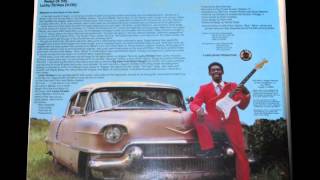 LUCKY PETERSON - SHE SPREAD HER WINGS (AND FLEW AWAY)