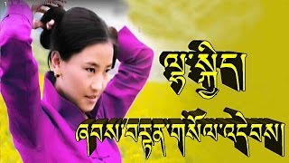 ཞབསབརནགསལའདབས ལསད Lhakyi Shabten Soldep