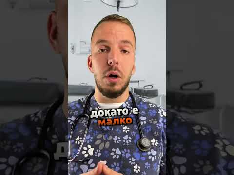 Видео: Как ще разберете, когато заекът ви е в труда?