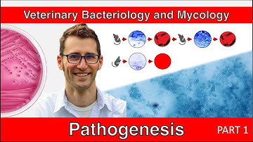 Pathogenesis (Part 1) - Veterinary Bacteriology and Mycology