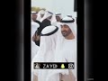 تصميم الشيخ محمد بن زايد