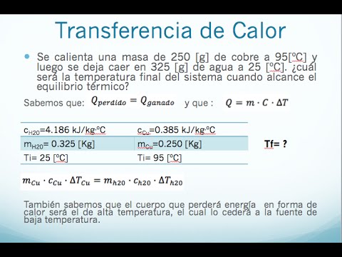 ebook interacting stochastic