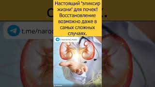 Настоящий эликсир жизни для почек #здоровье #зож #почки  #народнаямедицина