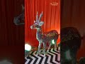 Best Event Decorations for wedding | #shorts #viralvideo #tranding #ytshorts #youtube #priyalkukreja
