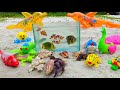 Find large hermit crabs, ornamental fish, native snakes, nemo fish, octopus, sharks, whales