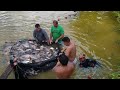 PEGAMOS MAIS DE 2000 KG DE PEIXE COM UMA REDADA SÓ!