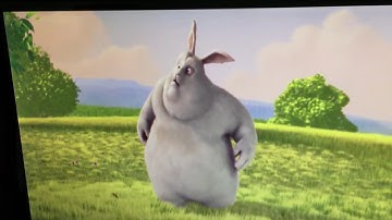 Banana Pi BPI-M2+H5(H5) kernel 5.1.1 demo Sunxi-Cedrus with v4l2-request-test (Ubuntu 18.04 mate)