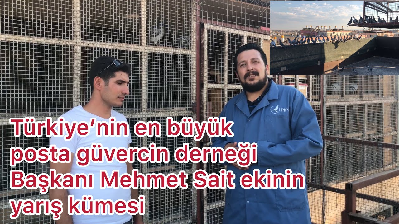 Posta derneği ve yarışı