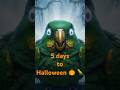 🦜 Scary Saylo – Halloween Countdown Day 5! 🎃 | Learn English with Saylo🦜#halloween #saylo