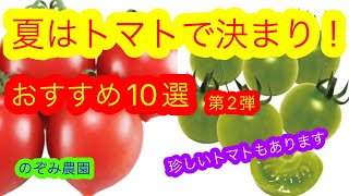 【トマト】第2弾　この夏おすすめのトマト10選！！珍しい色、形、育て方のトマトもあります！