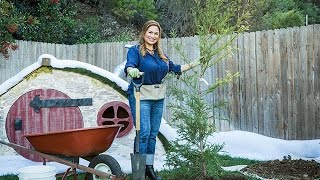How To - Planting a Memorial Tree with Shirley Bovshow - Hallmark Channel