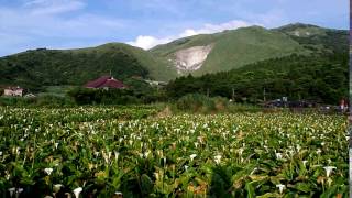 2013竹子湖