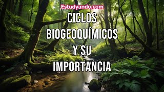 Biogeochemical Cycles and Their Importance Biogeochemical Cycles and Their Importance