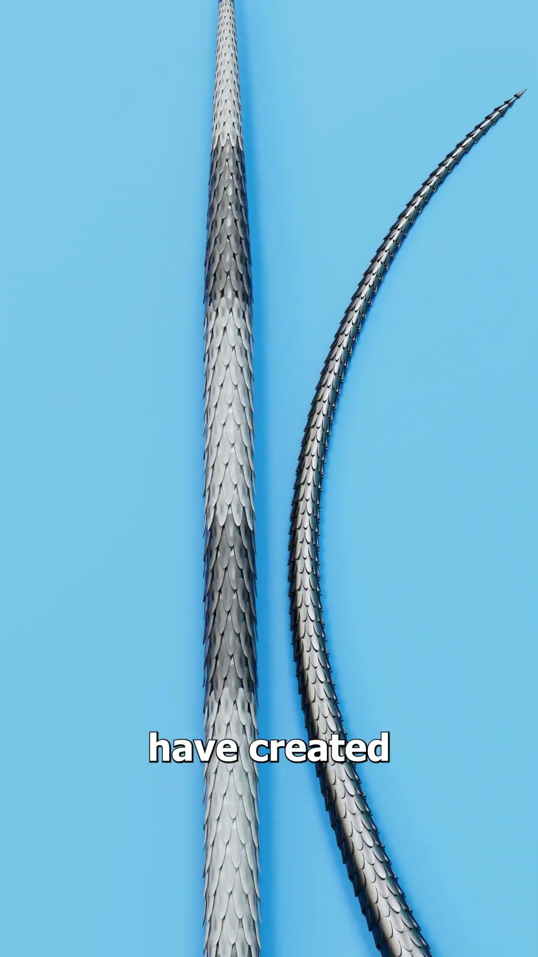 How Porcupine Needles Work ?