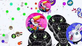 INSANE SOLO REVENGE 🪶 (AGAR.IO MOBILE)
