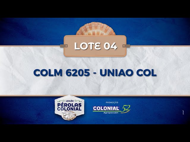 LOTE 04 COLM 6205