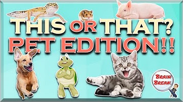 This or That? Pet Edition! | Would You Rather? | Fun Fitness Games for Kids | Brain Break | GoNoodle