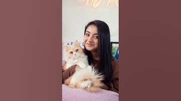 কার বিড়াল কিউট |nusrat Jahan ontora | ritu Hossain | Mithila rahman #rakibhossain #rakibhossainvlog