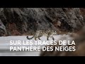 Dans les secrets de la vie sauvage  rencontre avec le photographe naturaliste vincent munier