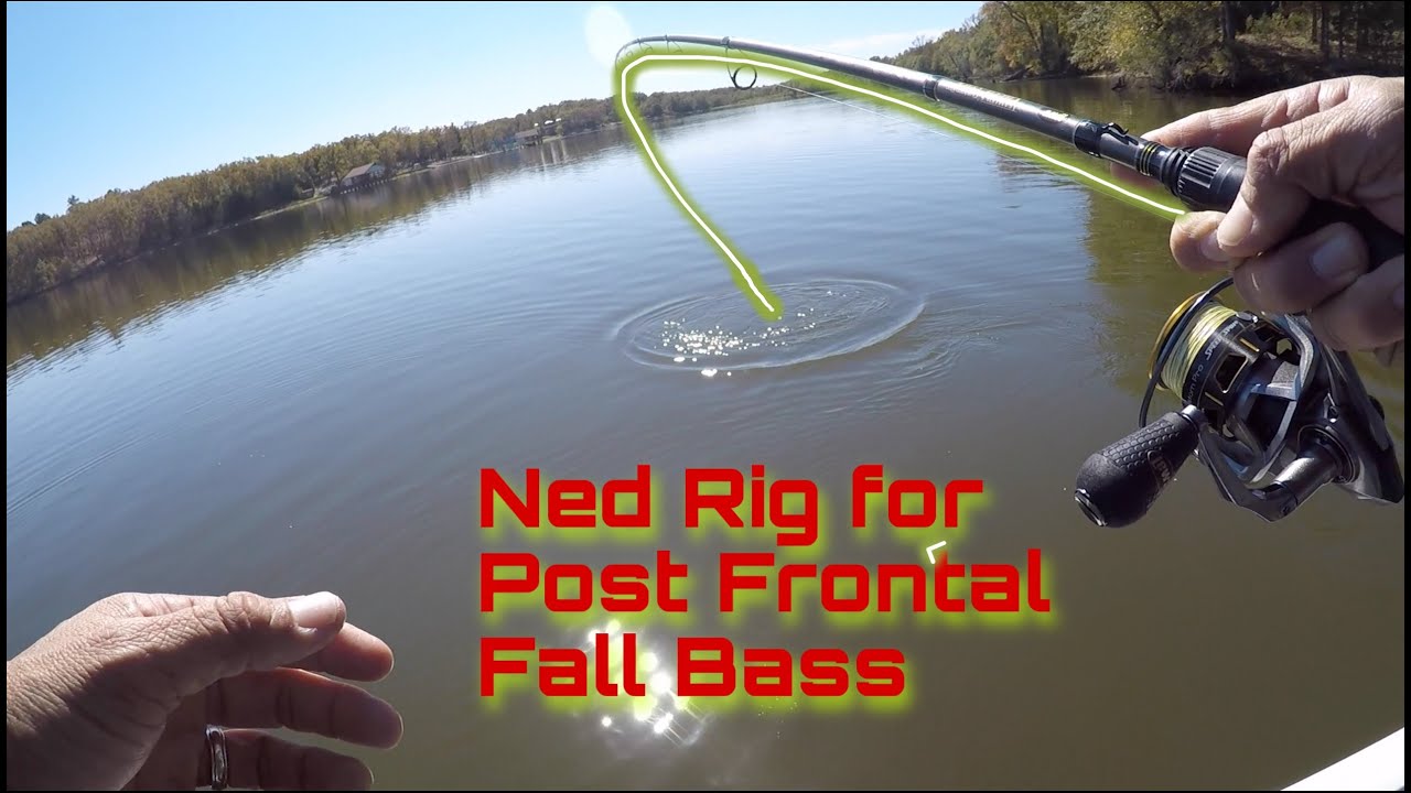 Fishing a NED RIG for Bass on a Fall Post Frontal Day - How To