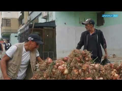 سعر البصل في عنابة يصل الى 20 و 10 دج فقط !