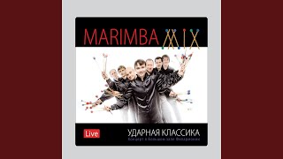 Video thumbnail of "MarimbaMix - Phone Marimba (Live)"